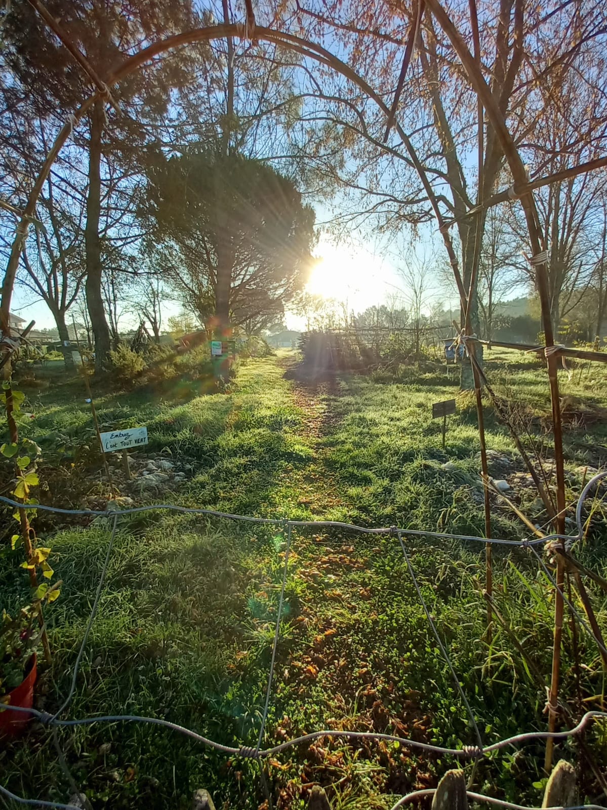 #4 - Actions de végétalisation et plantations sur la commune